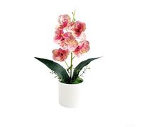 Orquídea artificial bonsái, 5 flores de orquídea Phalaenopsis en maceta para boda, arte floral, restaurante, hotel, escritorio, adorno para decoración del hogar (colorido)