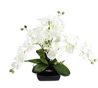 Orquídea artificial de 40 x 36 x 36 cm con hojas y raíces aéreas en cuenco de cerámica, orquídea artificial, Phalaenopsis con maceta, planta artificial, decoración de boda, flor de seda, color blanco