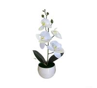 Orquídea artificial de mariposa de 30 cm, de plástico de seda realista, planta de orquídea falsa de 30 x 17 cm, de bajo mantenimiento, orquídea mariposa de seda, bonsái para decoración del hogar y