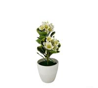 Orquídea artificial, decoración de bonsái de orquídea mariposa con maceta, planta falsa realista para decoración del hogar, oficina, boda, centro de mesa de bajo mantenimiento, 25 x 8 x 7 cm (verde)