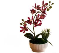 Orquídea artificial en maceta en forma de nube, material de gel realista, flor sintética para sala de estar, dormitorio, estudio, decoración del hogar, 10,5 x 10,5 x 27 cm (rosa profundo)