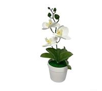 Orquídea artificial Phalaenopsis Bonsái de 25 x 12 cm, planta falsa de plástico en maceta, decoración realista para sala de estar, oficina, hogar (blanco)