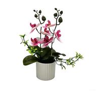 Orquídea artificial Phalaenopsis Bonsái de 26 x 17 x 17 cm, arreglo floral en maceta, hojas realistas, decoración de interiores de bajo mantenimiento para sala de estar u oficina (rosa y blanco)