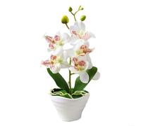 Orquídea artificial Phalaenopsis Bonsái en maceta, decoración del hogar, 27 cm de altura, flores de seda, arreglo de plantas realistas para oficina, restaurante, jardín, decoración de mesa (C)