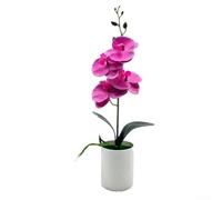 Orquídea artificial Phalaenopsis Bonsái para decoración de interiores, planta de orquídea sintética en maceta con aspecto realista, para mejorar interiores del hogar u oficina (morado)