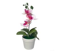 Orquídea artificial Phalaenopsis Bonsái, planta en maceta de plástico para decoración de interiores, sala de estar y oficina (corazón morado)