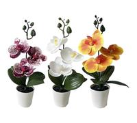Orquídea artificial Phalaenopsis en maceta blanca, planta de imitación en | Disfruta de la belleza botánica durante todo el año con una orquídea realista de tres flores que no requiere riego ni luz