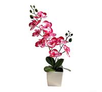 Orquídea artificial Phalaenopsis en maceta cuadrada, flores falsas de simulación 3D para decoración del hogar, bodas y sesiones de fotos, corazón morado, 39 cm (borde rojo rosa)