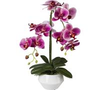 Orquídea Phalaenopsis artificial, tacto real maceta de cerámica