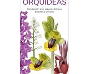 Orquídeas. Introducción A Las Especies Ibéricas Baleares Y Canarias