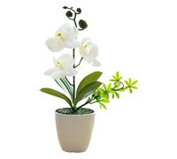 Orquídeas mariposa realistas resistentes a la decoloración simulación de plantas en maceta para centros de mesa de boda y decoración de habitación modernas orquídeas sintéticas centros de mesa de