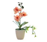 Orquídeas mariposa realistas resistentes a la decoloración simulación de plantas en maceta para centros de mesa de boda y decoración de habitación modernas orquídeas sintéticas centros de mesa de