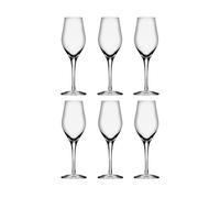 Orrefors 6 Copas de champagne Sense 25.5 cl Transparente
