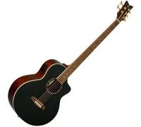 Ortega D8CE-5 Deep Series 8 Acoustic Bass 5 String