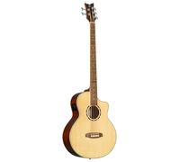 Ortega Deep Series D7CE-5 Acoustic Bass 5-String Electro-Acoustic Bass Guitar