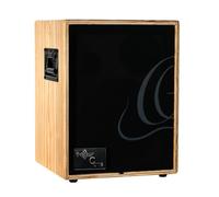 Ortega Guitars Amplificador Combinado de Guitarra acústica de 2 Canales de 100 W, Natural (Cone-Ash-US)