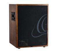 Ortega Guitars Amplificador Combinado de Guitarra acústica de 2 Canales de 100 W, Nogal (Cono-WND-US)