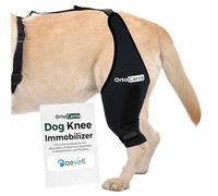 Ortocanis - Inmovilizador de Rodilla para Perro - Rodillera para Pierna Derecha - Lesiones, Rotura de Ligamentos, Luxación de Rótula y Postoperatorio - Neopreno Especial - Talla: XS de 23 a 25 cm