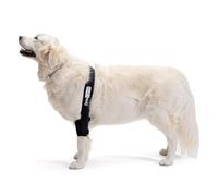 Ortocanis - Protector de Codo para Perro - Codera para Pierna Izquierda - Artritis Crónica, Displasia y Lesiones Cutáneas - Ayuda a Reducir Dolor e Inflamación - Talla: M 16,1-20,5 cm