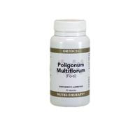 Ortocel Poligonum Multiflorum Fo-Ti 500mg 90caps