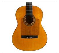 ORTOLA - Golpeador Completo Con Forma Transparente Tipo 2-8300-092-OR