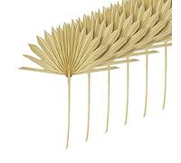 Orton 6 piezas grandes hojas de palma secas, ventiladores de palmeras secas naturales, ramo de flores secas, decoración de boda, hojas de palma secas