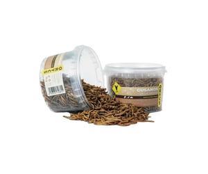 Orycs Snacks Gusanos de la Harina 75g