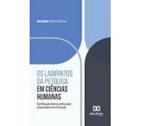 Os Labirintos Da Pesquisa Em Ciências Humanas (ebook)