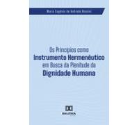 Os Princípios Como Instrumento Hermenêutico Em Busca Da Plenitude Da D