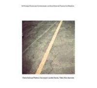 Os Princípios Processuais Constitucionais E Os Novos Rumos Do Processo