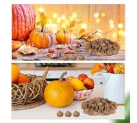 OSALADI 150 Unidades Tapas de Bellota Naturales Secas para Manualidades DIY Pequeño Relleno Decorativo para Jarrones de Otoño Navidad y Acción de Gracias Adorno Rústico para Hogar