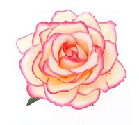 OSALADI 2 1 Pinzas Para El Cabello De Flores Para Broche De Flor Rosa Accesorios El Cabello Otoño Flores Grande Pelo Horquilla Flor Rosa Artificial Niña Clip