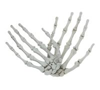 OSALADI 2 Piezas Clip Cabello Mano de Esqueleto Color Hueso de Halloween, Material Pe Seguro y Resistente, Accesorio Decorativo Adecuado para Fiestas y Casas Encantadas