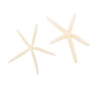 OSALADI Artesanía de Conchas Marinas 2 Estrellas de Mar Naturales Grandes, Decoración para Bodas y Mini Mesa Playa, Accesorio Decorativo 16-19 CM