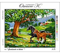 Oscarre K. gobelins Krainer Kit para Bordar Cañamazo Estampado para Medio Punto Caballos 49x38 Cod K91