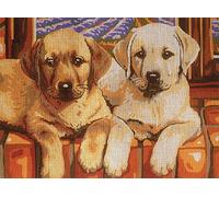 Oscarre K. gobelins Krainer Kit para Bordar Cañamazo Estampado para Medio Punto Labradors 23x30 Cod K19