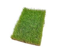 Oshhni Modelo de mechón de Hierba, Conjunto de Hierba en Miniatura, Multiusos, Rasgado a Mano, para Construir un ferrocarril con Mesa de Arena, Primavera Verde