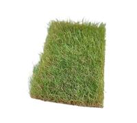 Oshhni Modelo de mechón de Hierba, Conjunto de Hierba en Miniatura, Multiusos, Rasgado a Mano, para Construir un ferrocarril con Mesa de Arena, Verde Otoño
