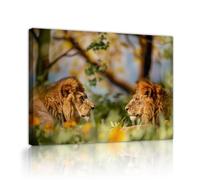 OSHIONARTE Arte de pared de un animal salvaje de leones Pareja de leones para dormitorio Fotos de lienzo para safari africano para decoración del salón 50x65cm Marco interior