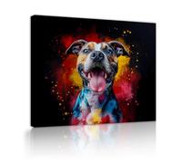OSHIONARTE Perro Pop Art Moderno Lienzo Arte de Pared Mascotas Impresiones Tienda Veterinaria Clínica Lounge Divertido Acuarela para Sala 30x40cm Marco interior