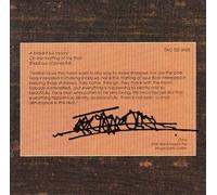 Osho Music - Shadow of the Pines