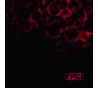 Osi - Blood (Re-Issue And Bonus)