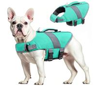 Oslueidy Chaleco Salvavidas para Perros Chaleco Salvavidas para Tiburones de Alta Flotabilidad Chaleco Salvavidas para Perros Chaleco Seguridad Bote Natación Kayak Surf Bañador (Hellblau, XS)