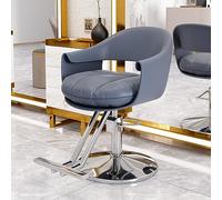 Osmari Hairdresser Barber Salon Chair with Heavy Duty Hydraulic Pump, 360° Swivel Adjustable Spa Beauty Equipment,Home Hairdresser Barber Salon Chair,Beige Gray b, JYLSSKUK, Blue