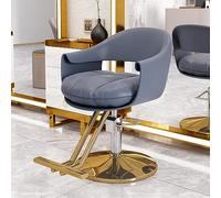 Osmari Hairdresser Barber Salon Chair with Heavy Duty Hydraulic Pump, 360° Swivel Adjustable Spa Beauty Equipment,Home Hairdresser Barber Salon Chair,Beige Gray b, JYLSSKUK, Blue b