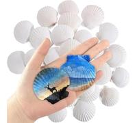 Osmond 30 Conchas de Vieira Naturales de 5 A 7,5 cm, Conchas Blancas para Manualidades, Pintura, Playa, Verano, Boda, Hogar.