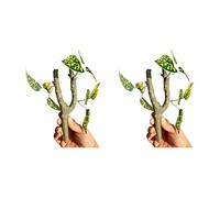 OSNIYAW 2 plantas trepadoras para anfibios, hábitats que promueve el comportamiento natural de reptiles, terrarios, accesorios de paisaje, planta trepadora realista para reptiles terrarios