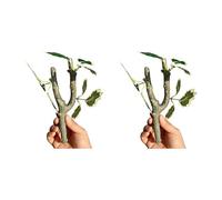 OSNIYAW 2 plantas trepadoras para anfibios, hábitats que promueve el comportamiento natural de reptiles, terrarios, accesorios de paisaje, planta trepadora realista para reptiles terrarios