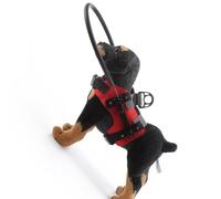 OSNIYAW Correa para perros ciegos, tamaño M, arnés protector de tela, evita accidentes, fácil instalación, arnés para perro ciego