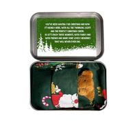 Oso de Bolsillo Relleno: pequeño Oso de Felpa en la Caja con edredón y Tarjeta de felicitación, Osos en Miniatura coleccionables, pequeños Animales de Peluche Regalo de Juguete | Cumpleaños